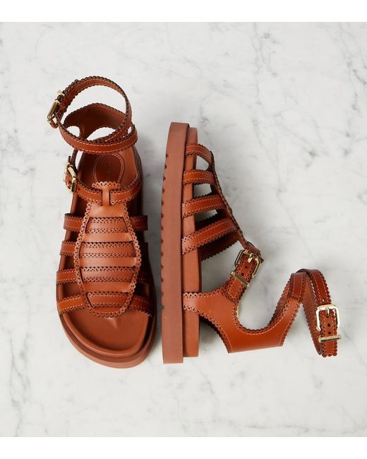 Zimmermann Brown Goldie Leather Gladiator Sandals