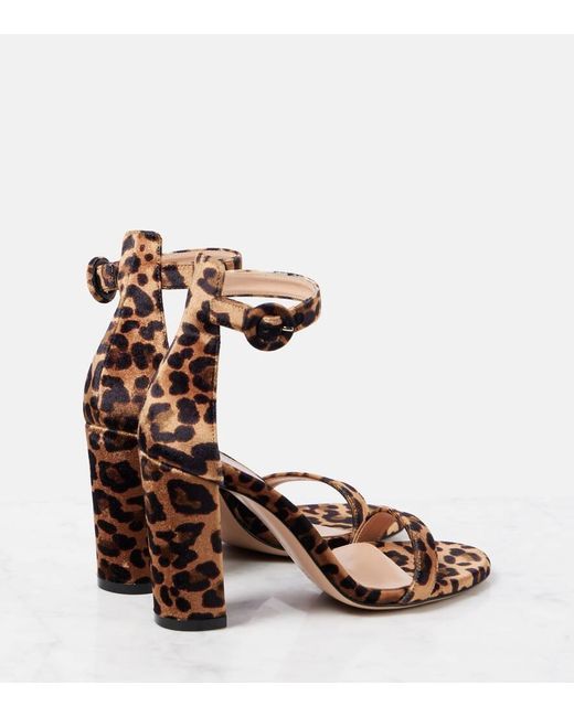 Gianvito Rossi Brown Gaeta 95 Leopard-Print Velvet Sandals