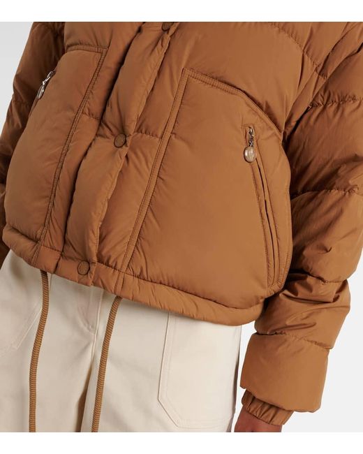 Moncler Brown Daunenjacke Selle