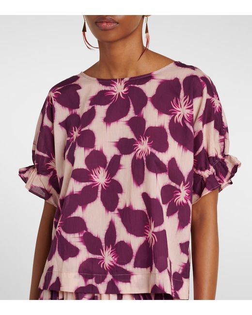 Velvet Pink Bluse Delilah Aus Baumwollpopeline