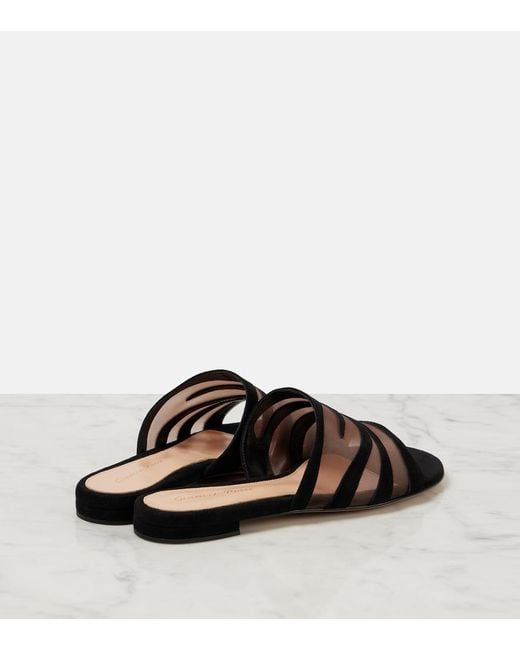 Gianvito Rossi Black Suede And Mesh Slides