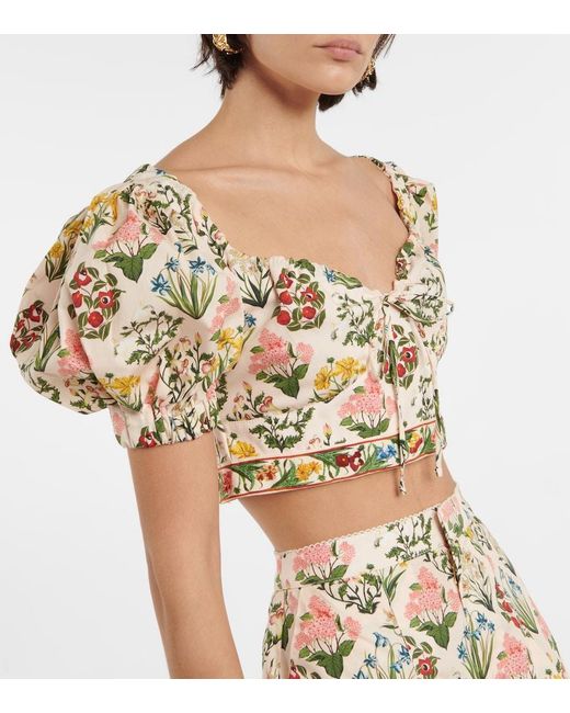 Agua Bendita Multicolor Floral-print Cropped Top