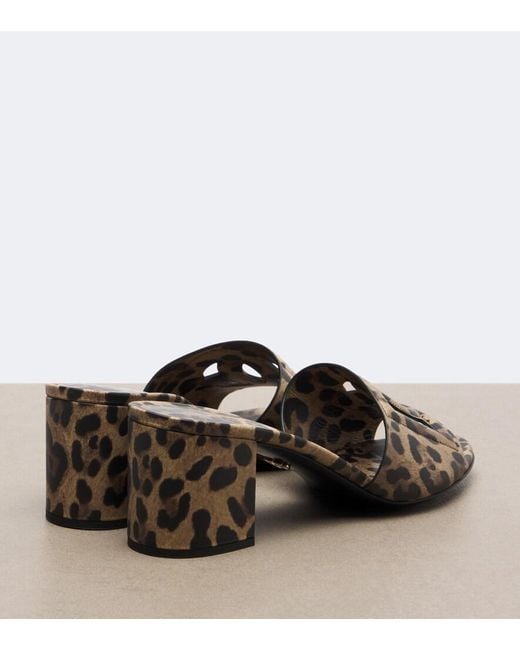 Dolce & Gabbana Brown Dg Animal-Print Leather Mules