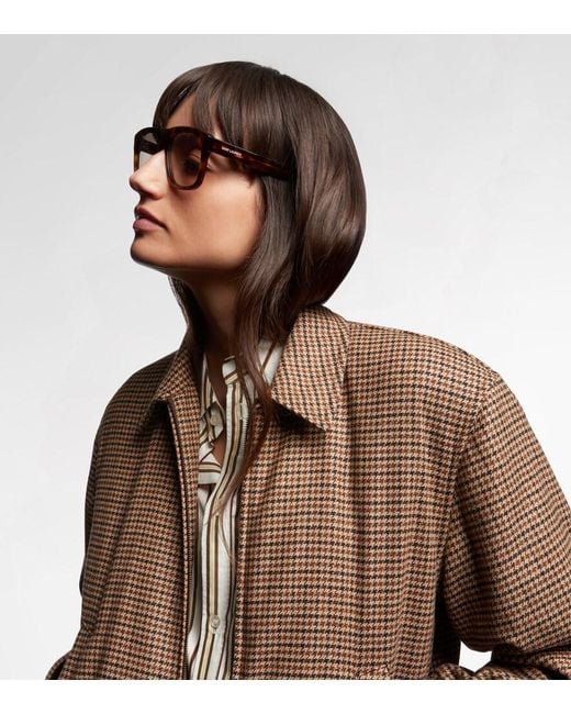 Saint Laurent Brown Sl 558 Square Sunglasses