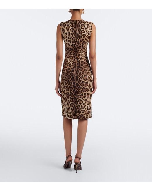 Dolce & Gabbana Brown Leopard-Print Silk-Blend Charmeuse Midi Dress