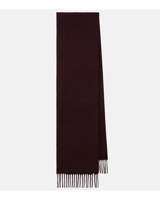 Sciarpa di Max Mara in Purple