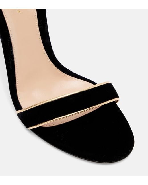Gianvito Rossi Black 105 Leather-Trimmed Velvet Sandals
