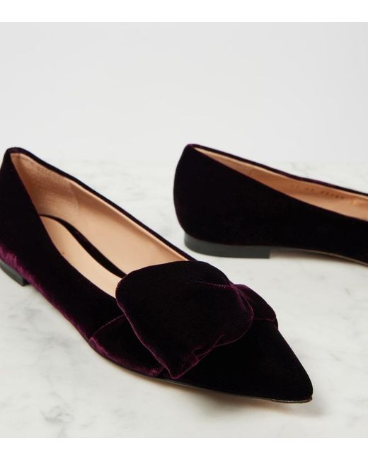 Gianvito Rossi Blue Bow-Detail Velvet Ballet Flats