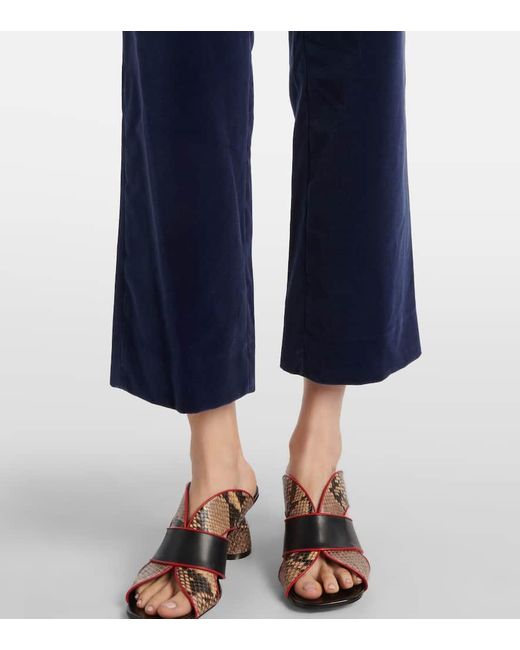 Blazé Milano Blue Jealousy Morelia Velvet Flared Pants