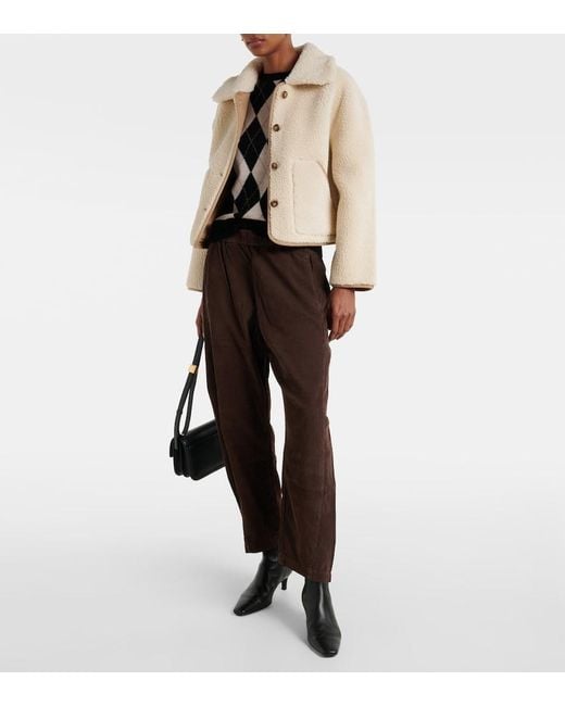 Velvet Brown Laney Cotton Straight Pants