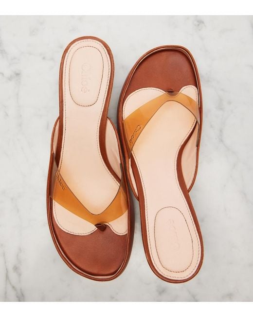 Chloé Brown Junie Leather And Tpu Thong Sandals