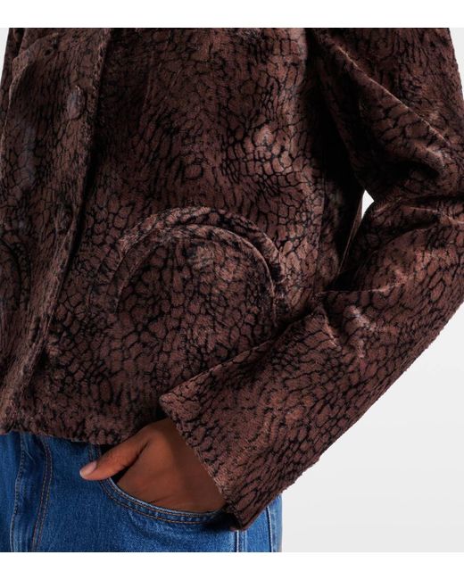 Blazé Milano Brown Shamo Bolero Velvet Jacket