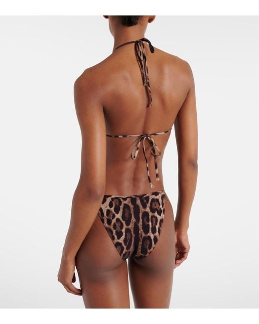 Dolce & Gabbana Brown Dolce & Gabbana Leopard Print Bikini Bottom