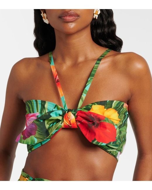 Dolce & Gabbana Green Bow-Detail Floral Cotton Bra Top