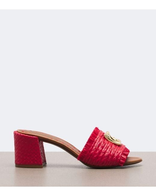 Dolce & Gabbana Red Dg Woven Mules