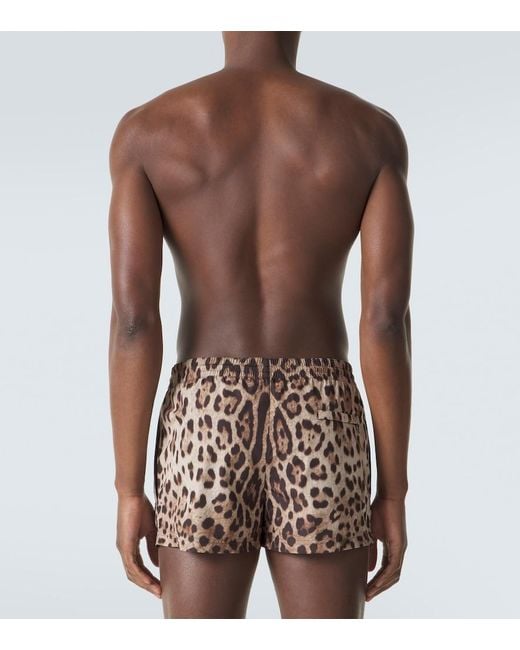 Dolce & Gabbana Brown Leopard-Print Swim Trunks for men