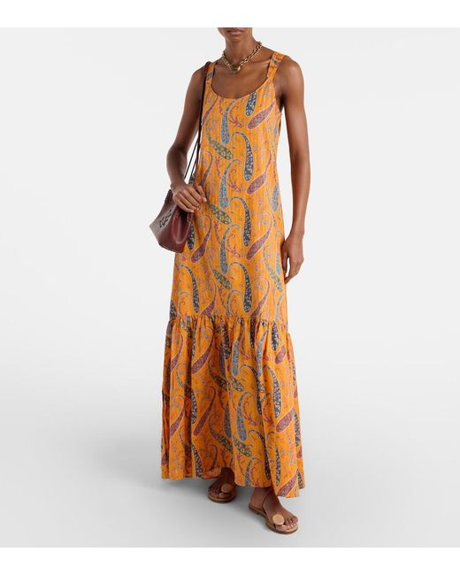 Etro Metallic Printed Cotton Cady Maxi Dress