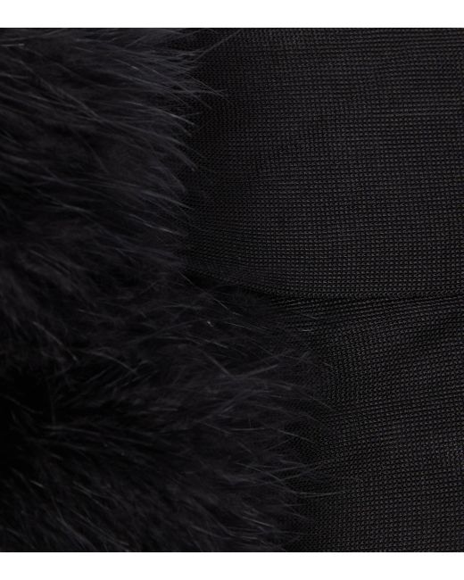Saint Laurent Black Feather-trimmed Semi-sheer Gloves