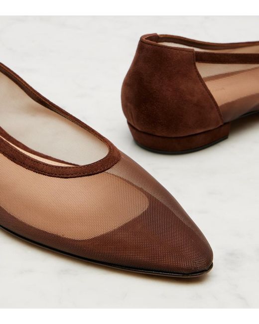 Gianvito Rossi Brown Amelia Suede-Trimmed Organza Ballet Flats