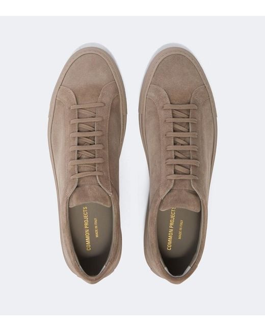 Common Projects Brown Achilles Suede Sneakers for men