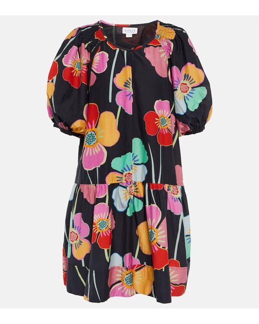 Vestido Corto Rachel Floral Velvet de color Multicolor