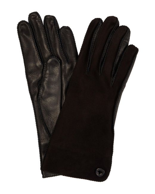 Loro Piana Suede And Leather Gloves in Black | Lyst Australia