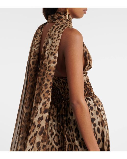 Dolce & Gabbana Brown Leopard-print Silk Chiffon Maxi Dress
