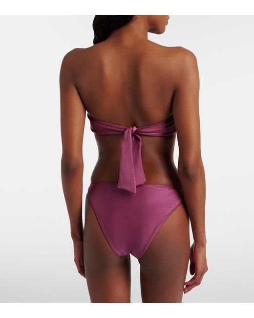Adriana Degreas Purple Floral-Applique Bikini