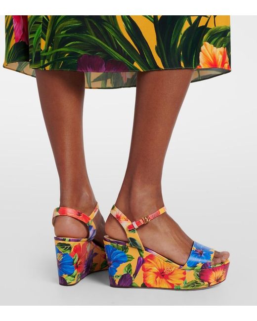 Dolce & Gabbana Blue Bianca Floral Wedges