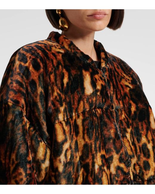 Isabel Marant Brown Delima Leopard-Print Bomber Jacket