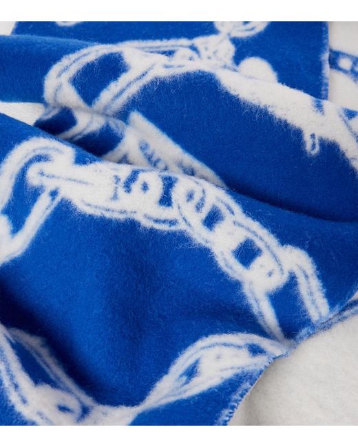 Sciarpa di Acne in Blue