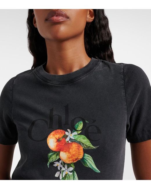 Chloé Black Printed Cotton T-Shirt