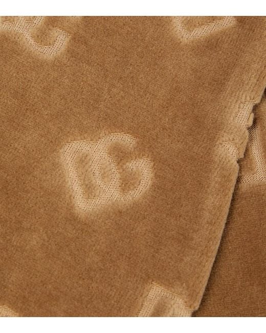 Dolce & Gabbana Brown Dg Chenille Gloves