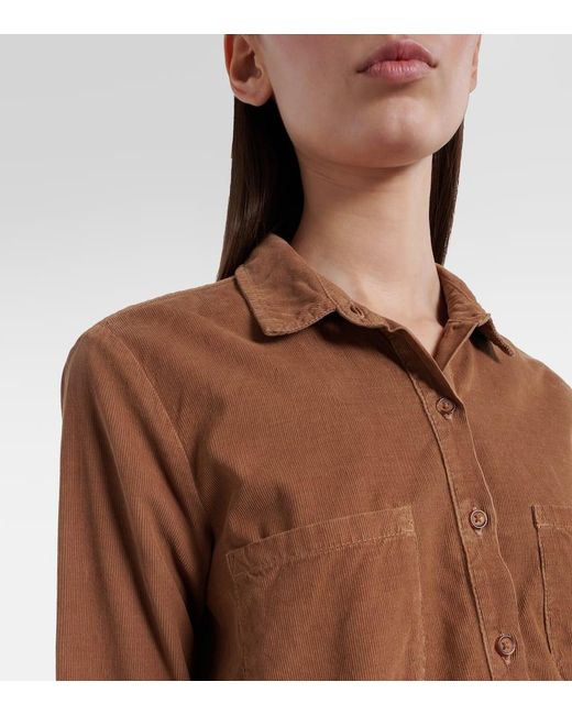 Velvet Brown Arielle Cotton Corduroy Shirt