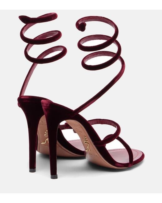 Sandales Cleo 105 En Velours Rene Caovilla en coloris Pink