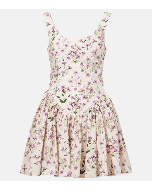 Agua Bendita Multicolor Pluma Floral Cotton Minidress