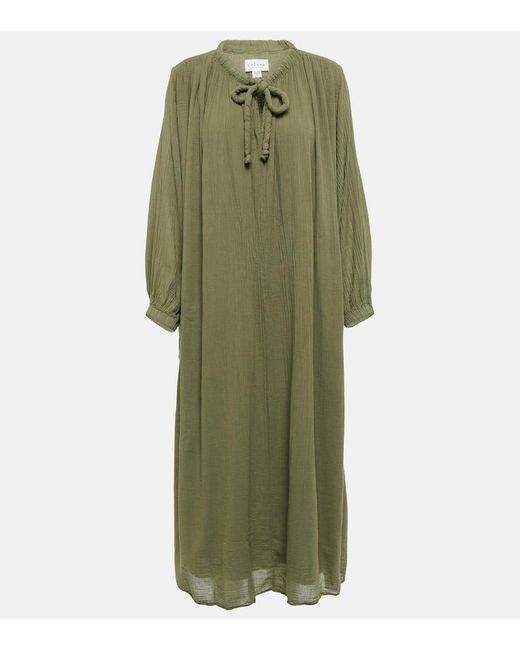 Velvet Green Frankie Cotton Voile Midi Dress