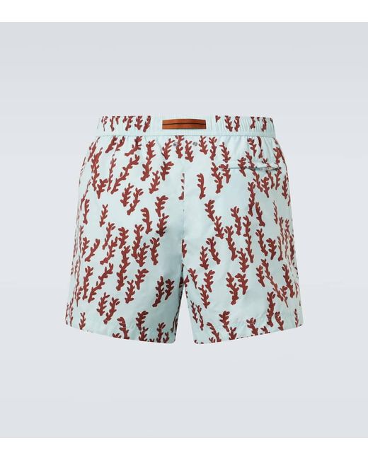 Zegna White Printed Swim Trunks for men