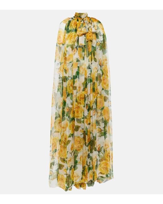 Dolce & Gabbana Metallic Floral Caped Silk Chiffon Gown