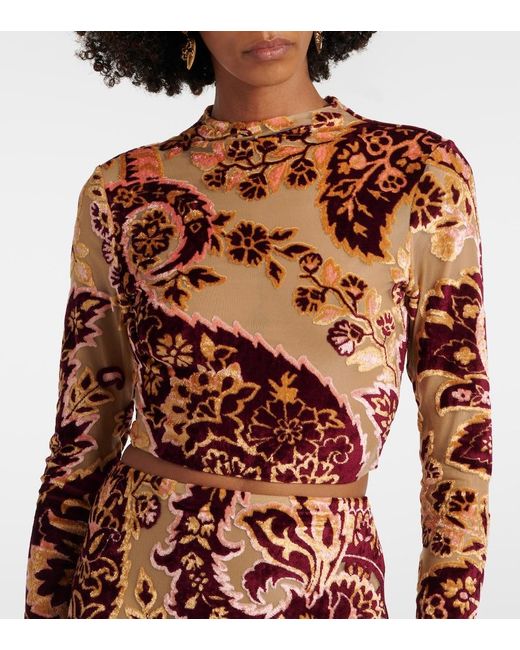 Etro White Paisley Tulle And Velvet Jacquard Crop Top