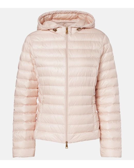 Moncler Natural Igelhood Down Jacket