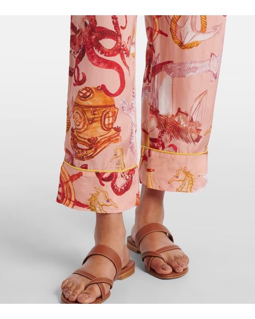 Farm Rio Orange Nautical Wonder Printed Straight Pants