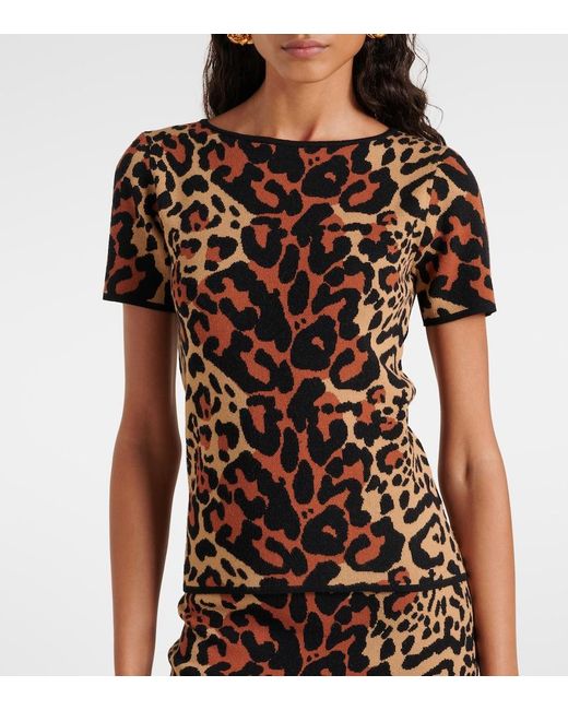 Blumarine Black Shoert Leopard-Print Top