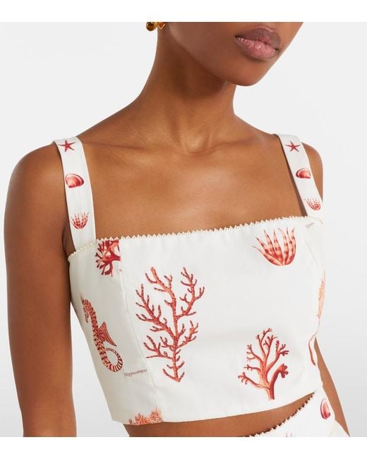 Agua Bendita Pink Cacao Printed Cotton Crop Top