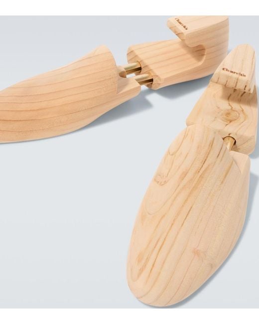 Church's White Wood Shoe Tree for men