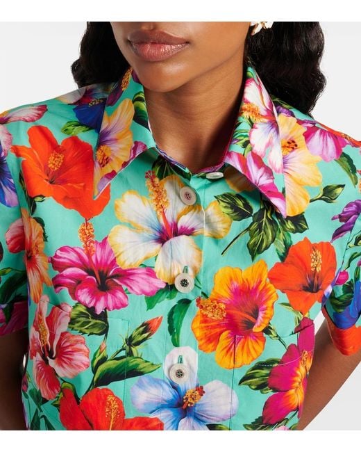 Dolce & Gabbana Blue Floral Cotton Crop Top