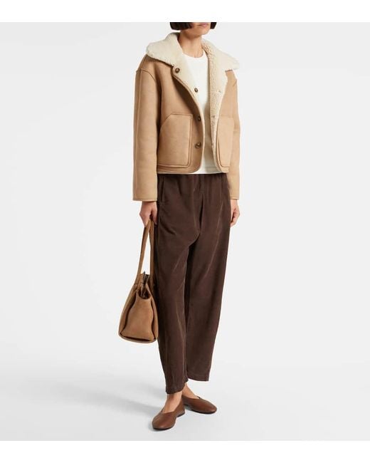 Velvet Brown Laney Cotton Straight Pants
