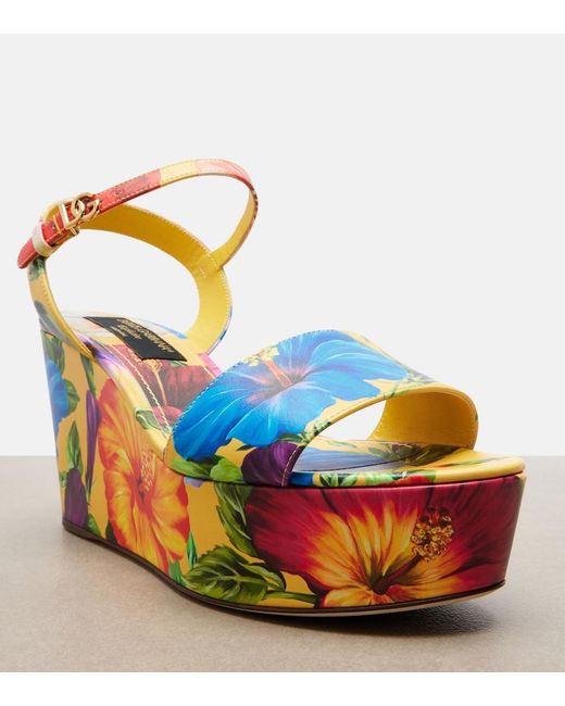 Dolce & Gabbana Blue Bianca Floral Wedges