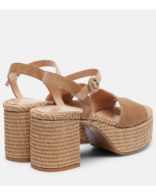 Gianvito Rossi Brown Carol Suede Espadrille Wedges