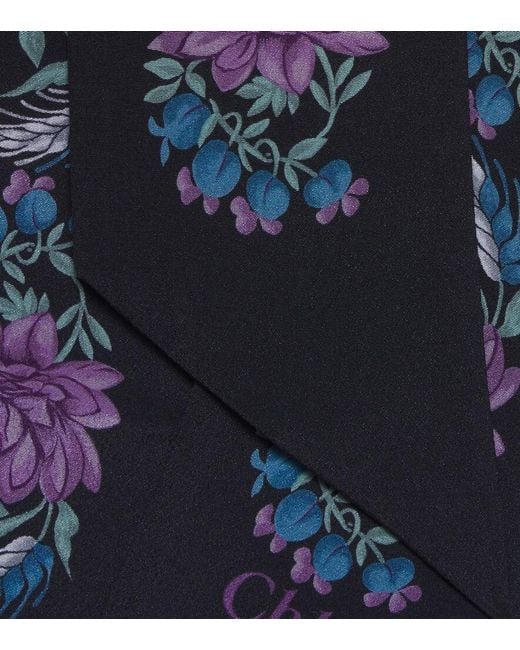 Sciarpa di Chloé in Blue